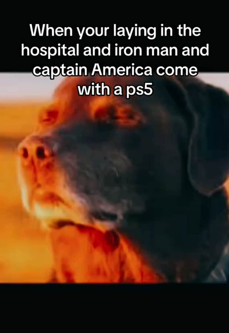 The Cooked Dog Closing His Eyes Halfway meme, explained