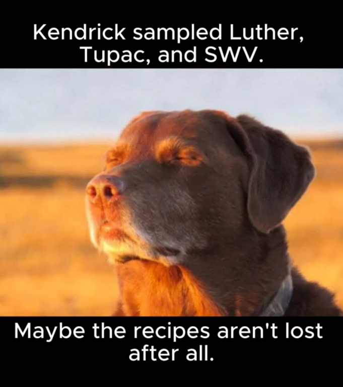 Dog closing eyes meme, text reads, 'Kendrick sampled Luther, Tupac, and SWV. Maybe the recipes aren't lost after all.'