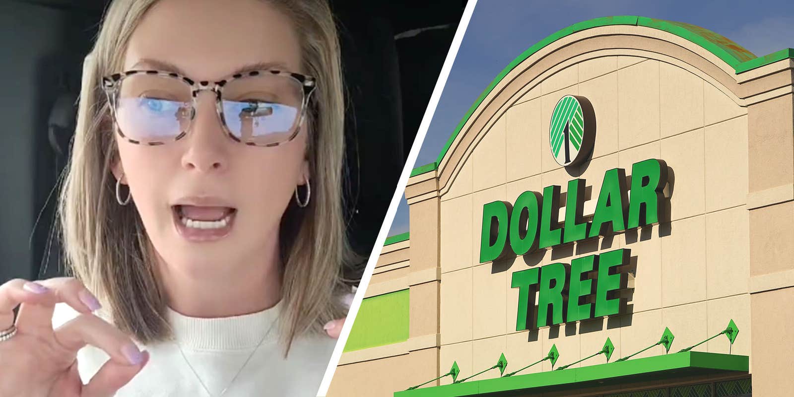 TikTok user screenshot @Tiktocksister next to the DOLLAR TREE STORE photo next to.