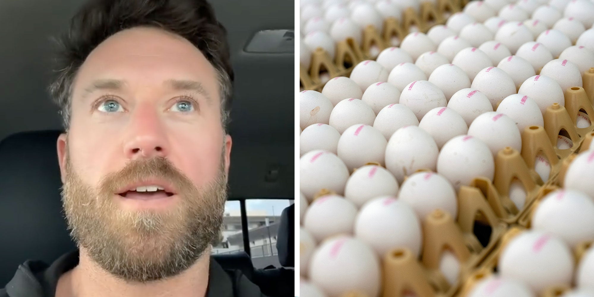Photo of Tiktok user @davidjschroer next to a photo of eggs in cartons.
