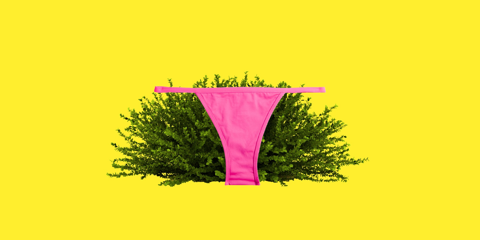 Photo collage of a plant bush behind a bikini bottom.