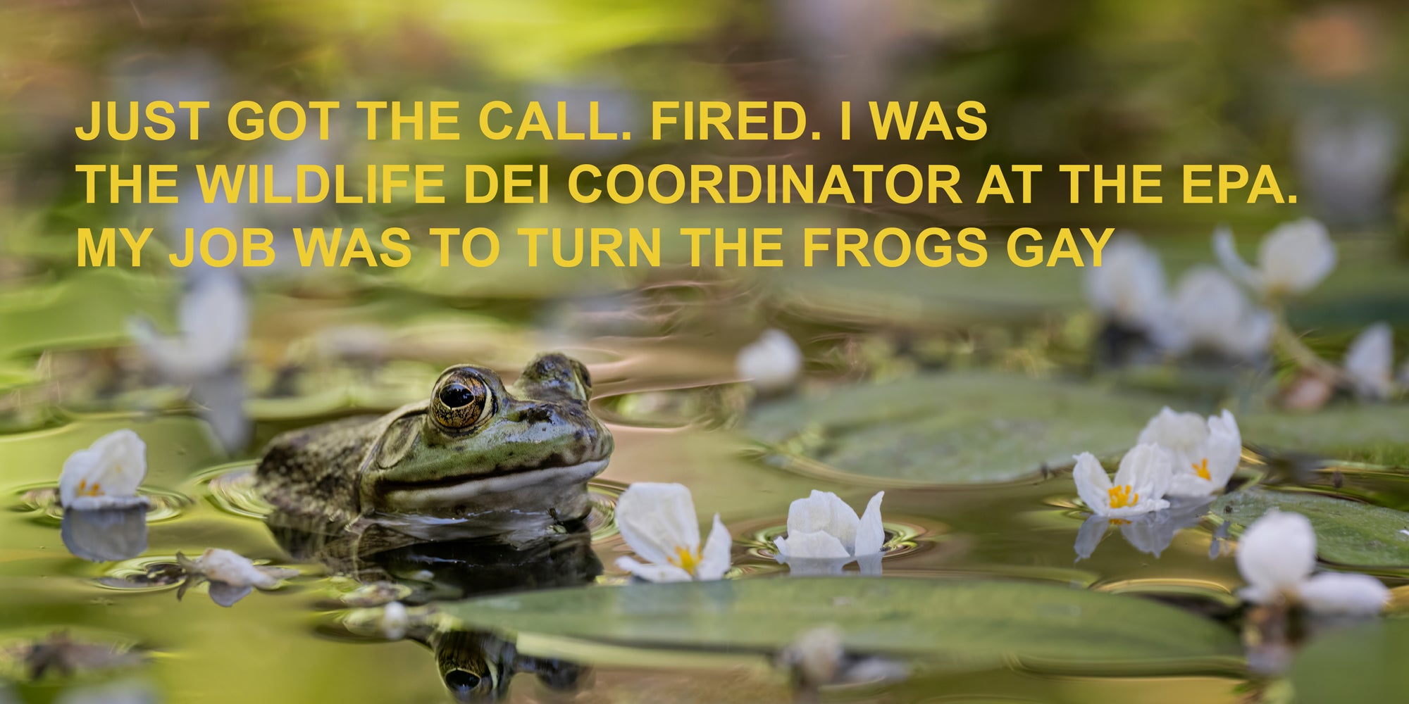 Scene of a frog in a pond. Text over: just got the call. fired. I was the wildlife DEI coordinator at the EPA. my job was to turn the frogs gay.