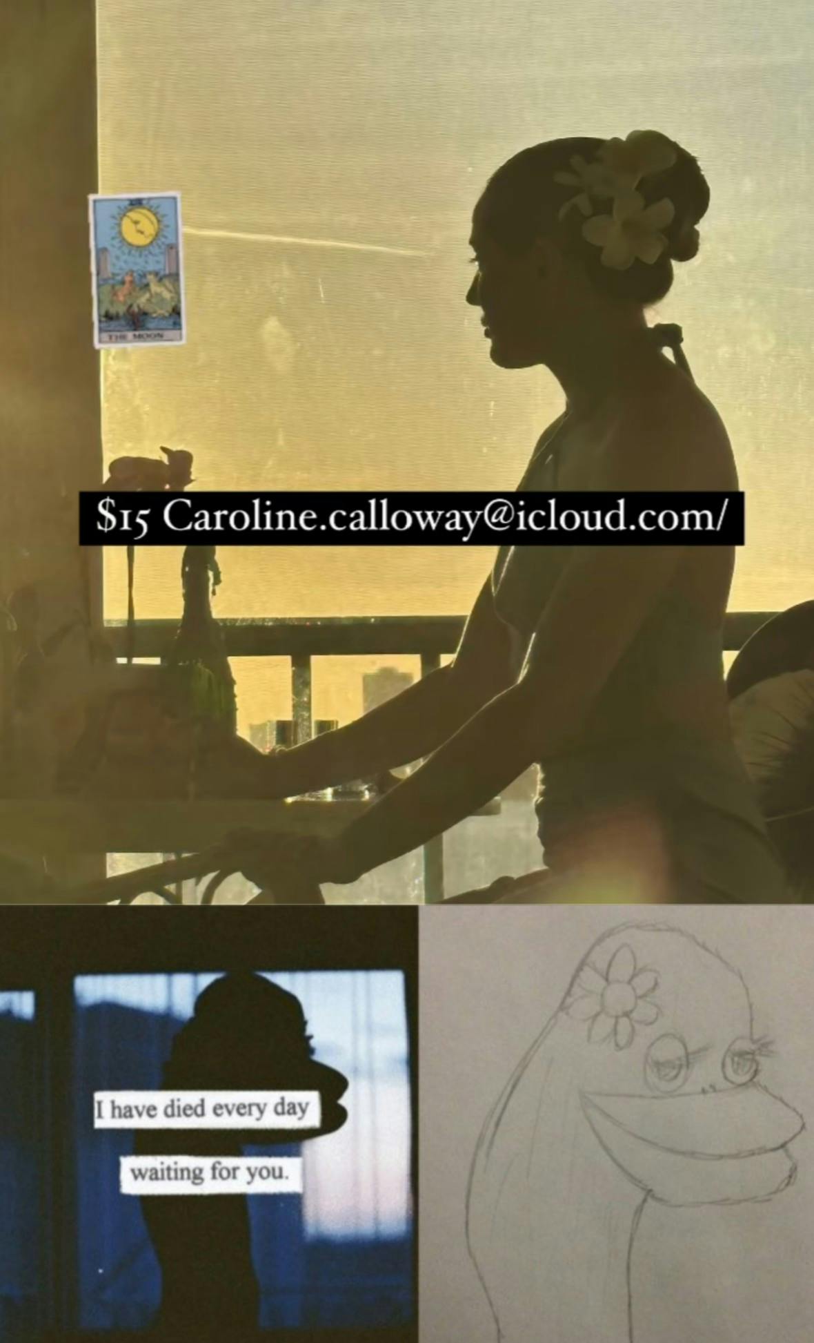 caroline conway i have died every day waiting