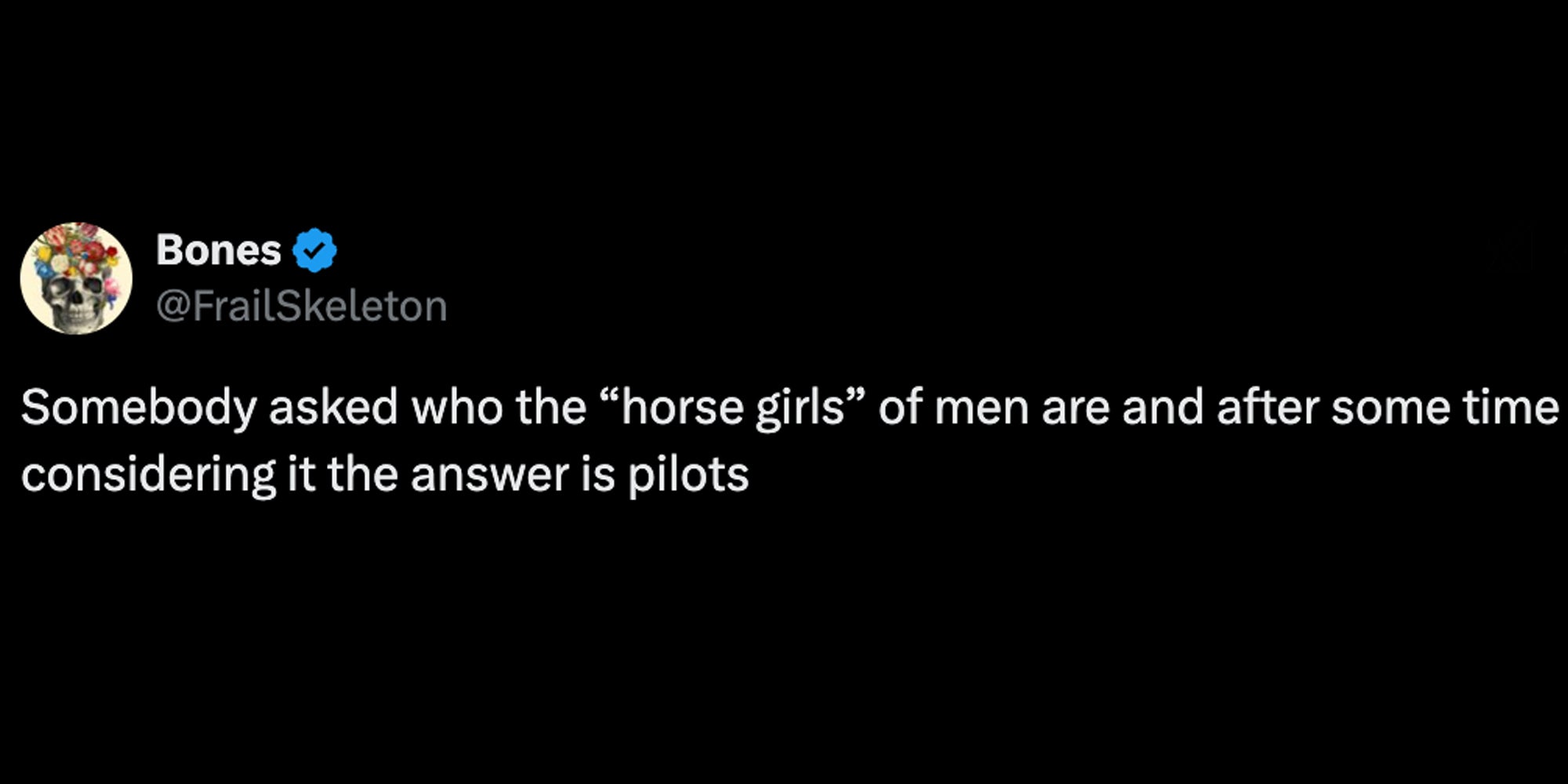 Tweet 'somebody asked who the 'horse girls' of men are and after some time considering it the answer is pilots'
