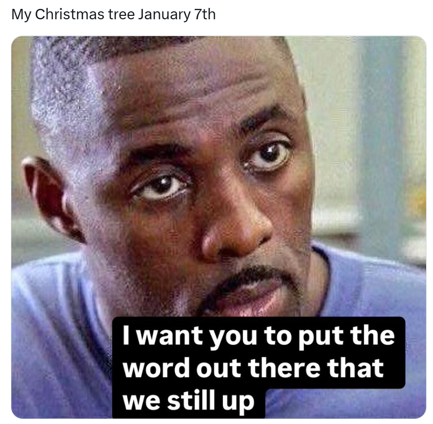 January meme, text reads, 'My Christmas tree January 7th: I want you to put the word out there that we still up'