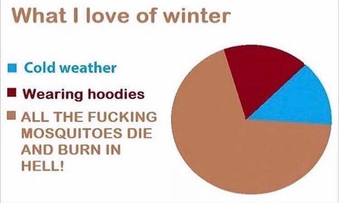 January meme, text reads, 'What I love of winter: cold weather, wearing hoodies, ALL THE F*CKING MOSQUITOES DIE AND BURN IN HELL!'