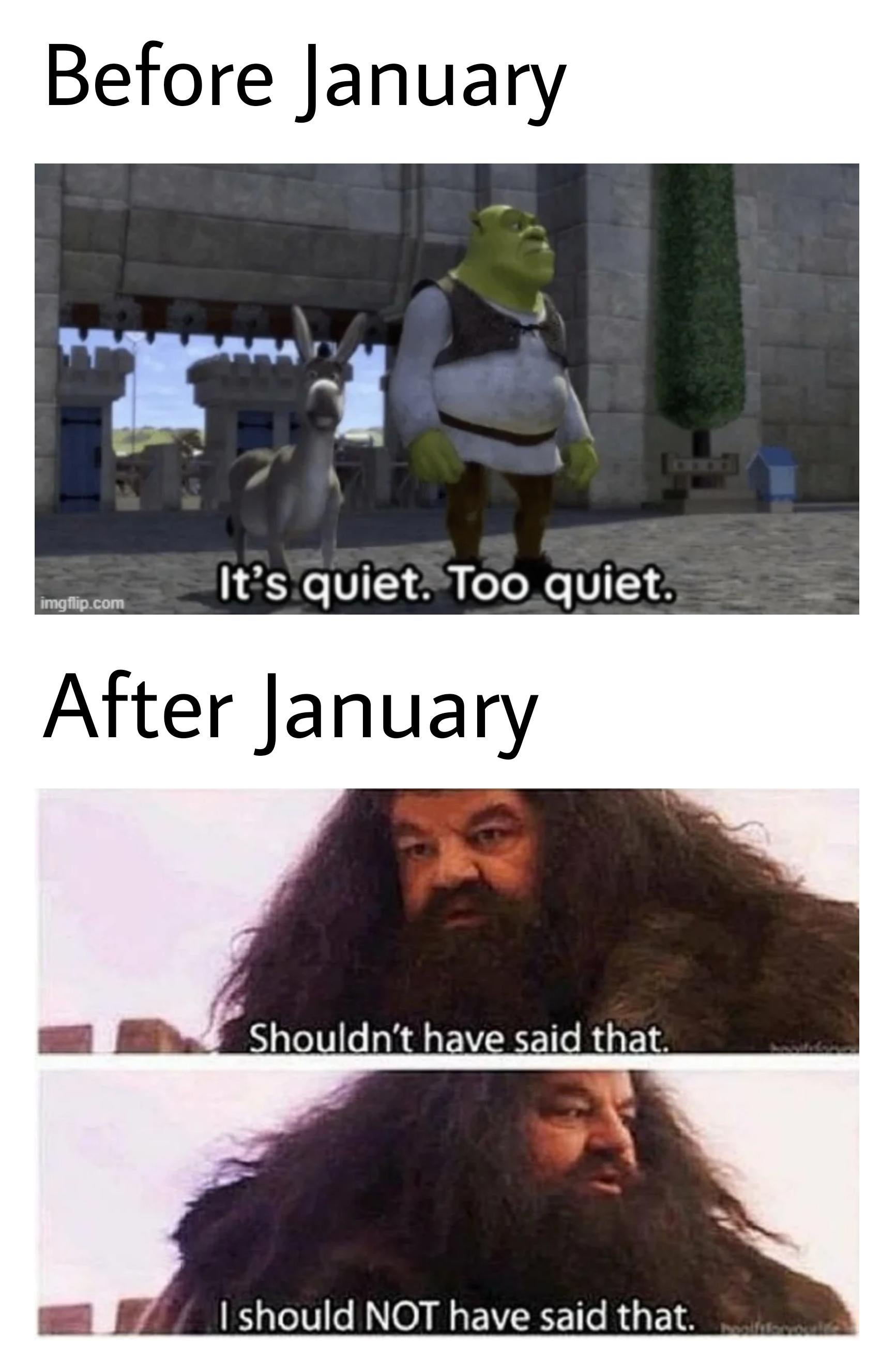 January meme, text reads, 'Before January/After January' with photos from Shrek in DuLac and Hagrid saying, 'Shouldn't have said that.'