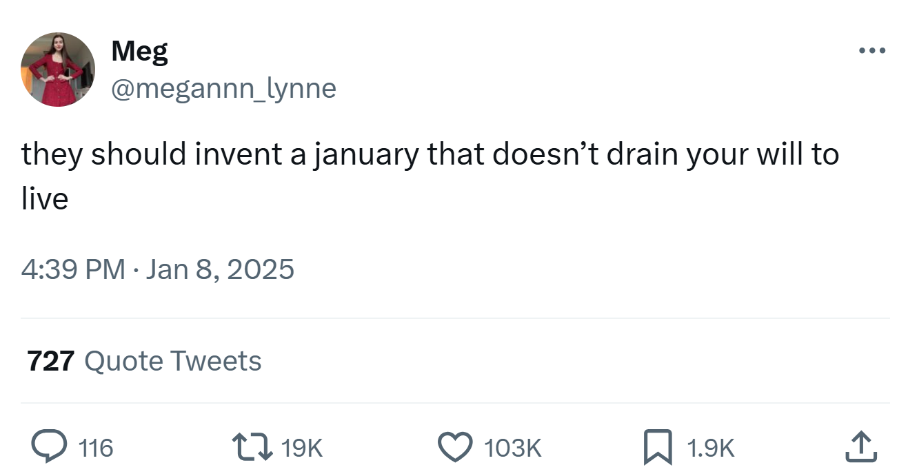 January meme, text reads, 'they should invent a january that doesn’t drain your will to live'