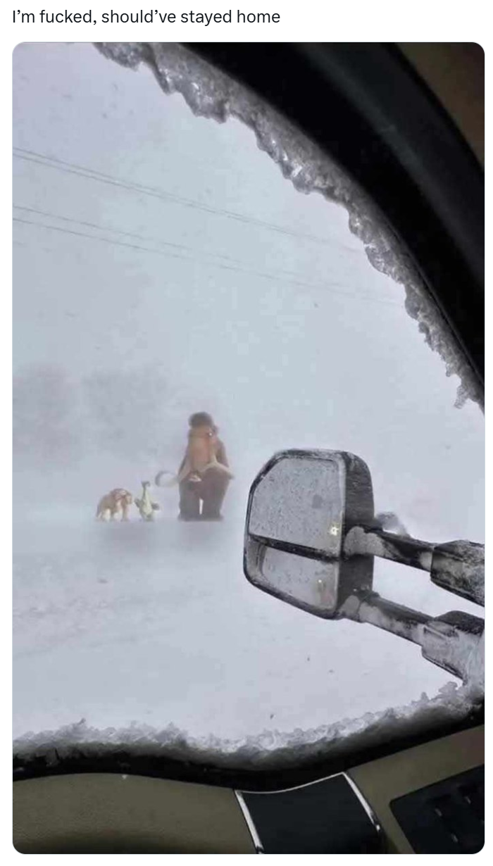 January meme, text reads, 'I’m f*cked, should’ve stayed home' with a photo out their car window of the Ice Age animated characters.