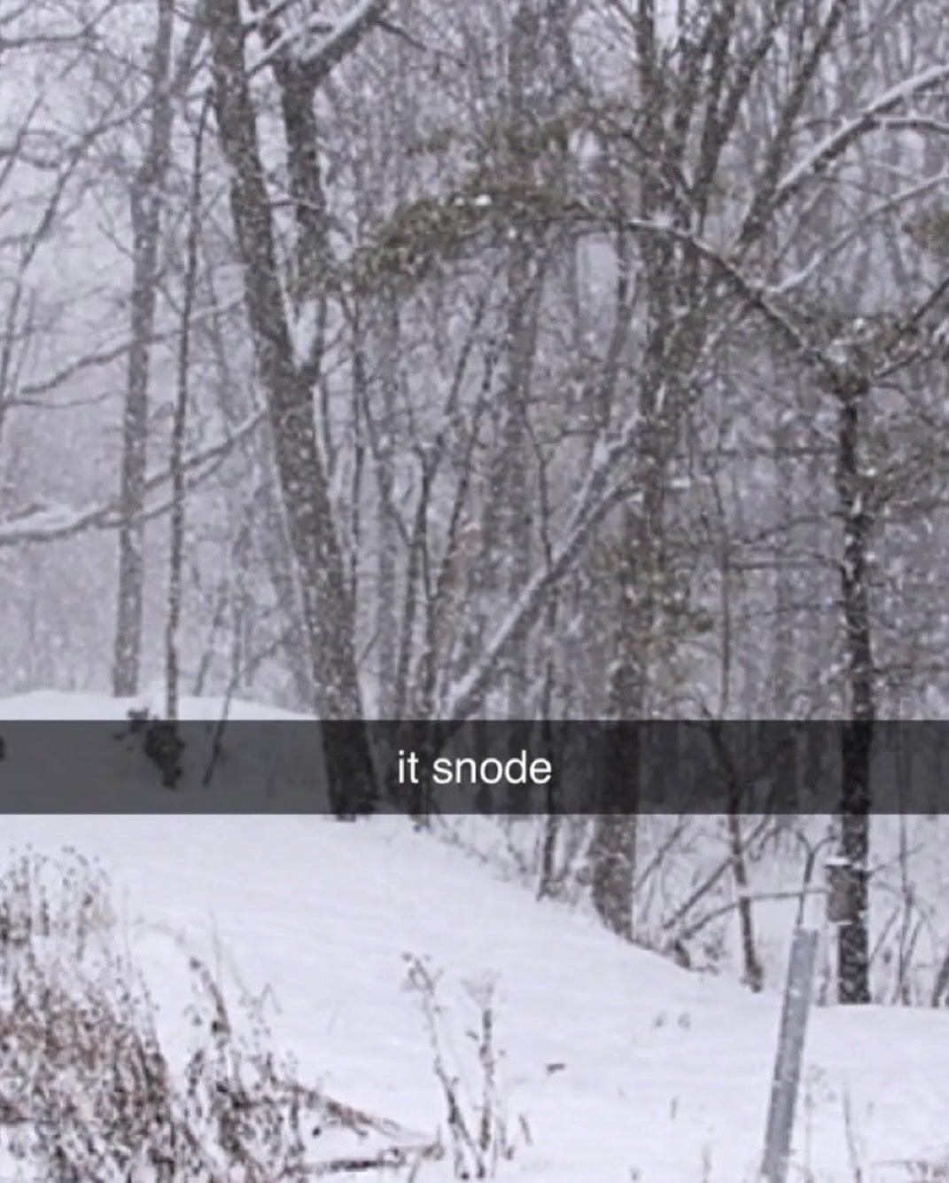 Snapchat photo of snow outside a window. Text overlay reads, 'it snode'