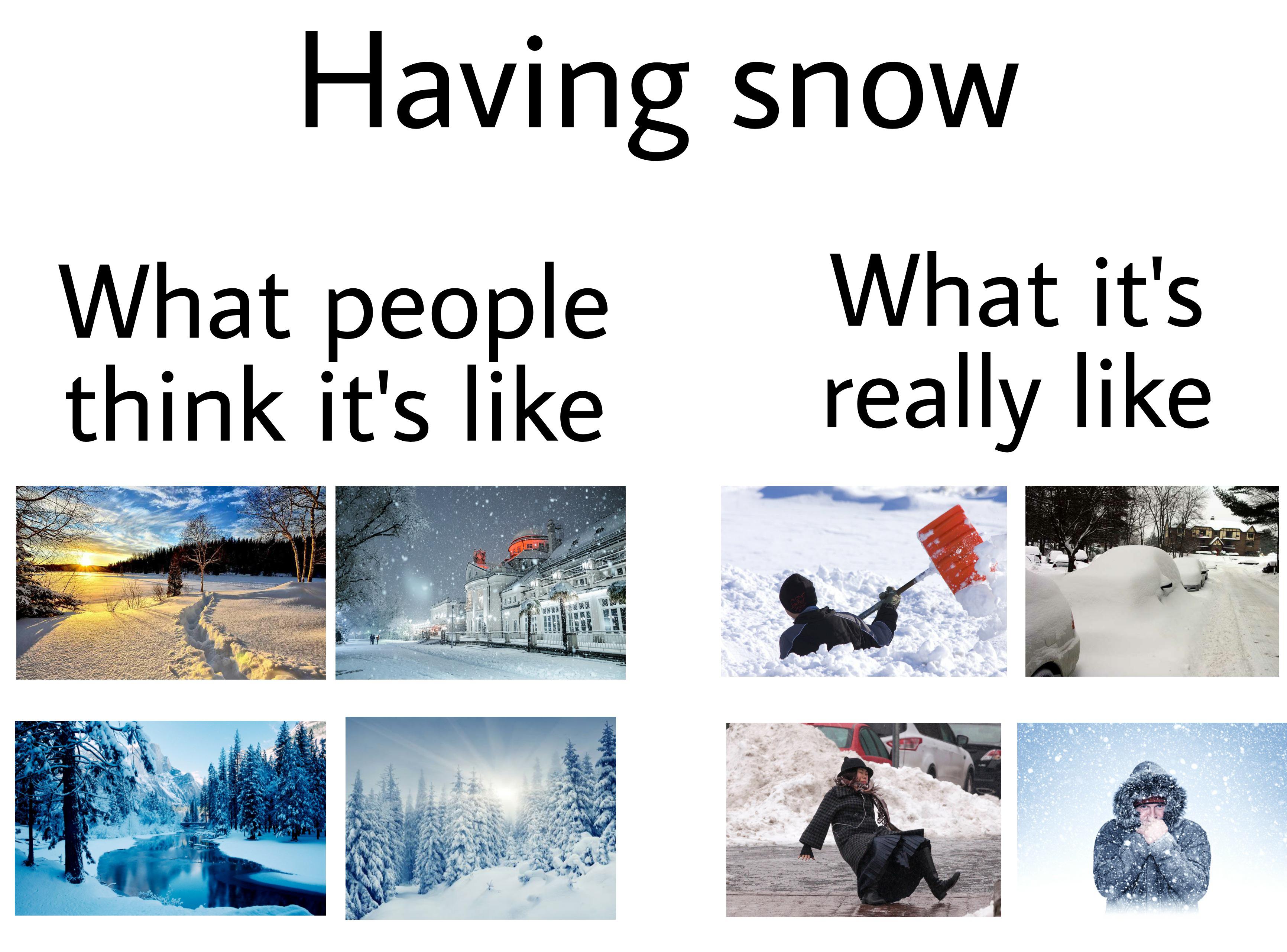 January meme, text reads, 'Having snow: what people think it's like / what it's really like' with picturesque images next to images of shoveling and slipping on ice.