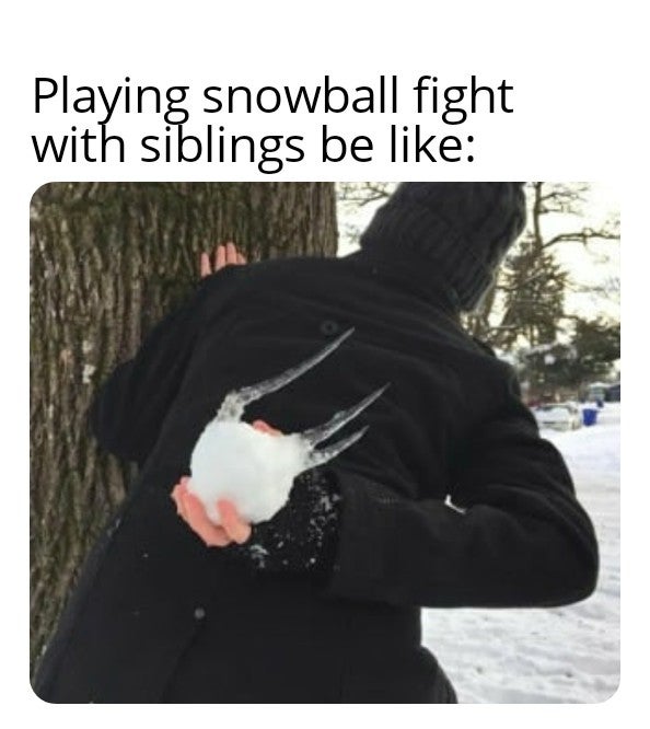 January meme, text reads, 'Playing snowball fight with siblings be like' with a photo of a kid holding an ice ball behind their back.