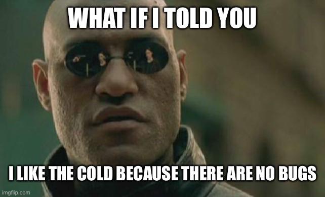 January meme, text reads, 'What if I told you I like the cold because there are no bugs.' with Morpheus from The Matrix.