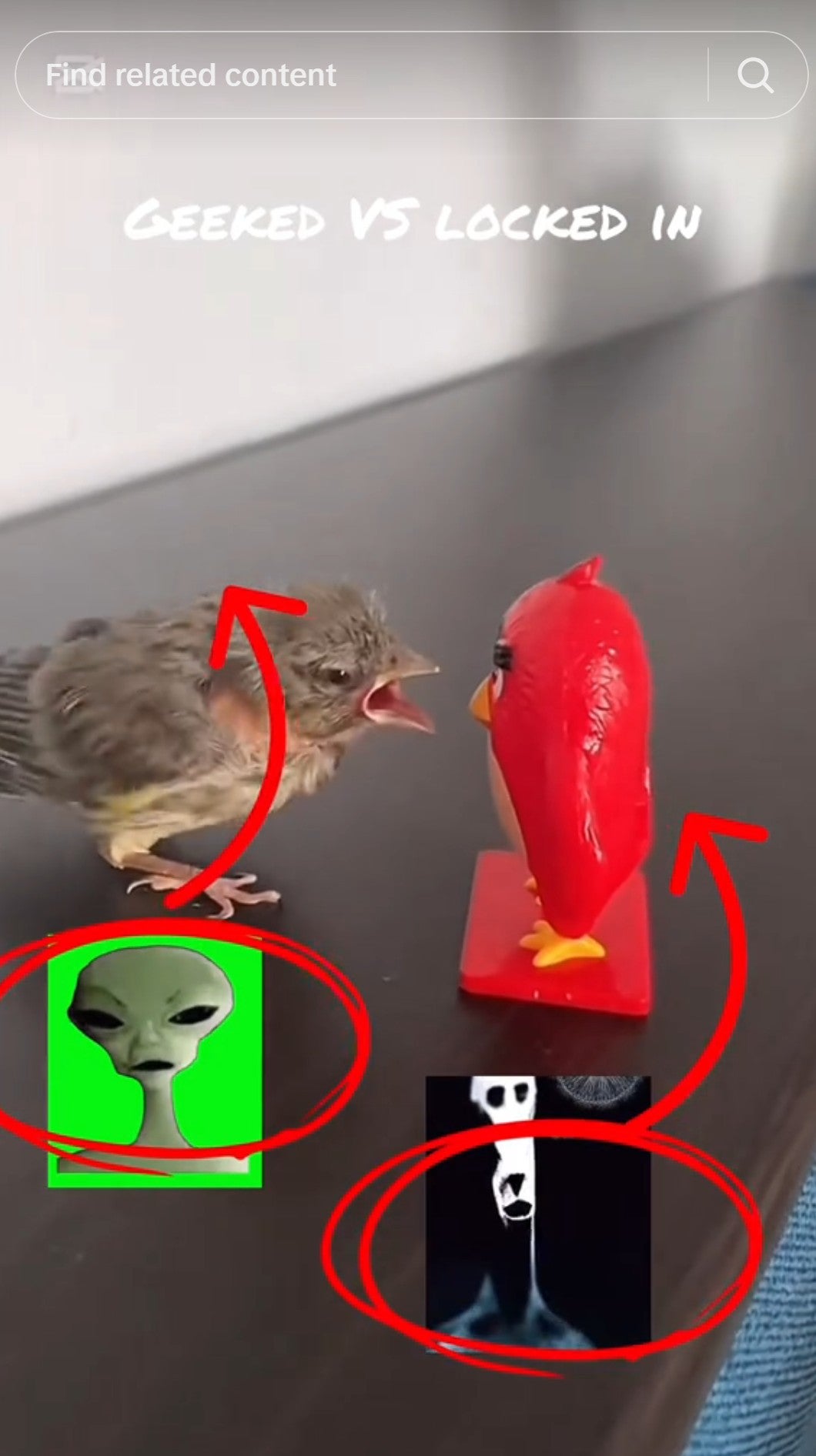 geeked vs locked in alien bird edition