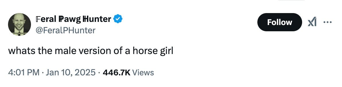 male version of a horse girl