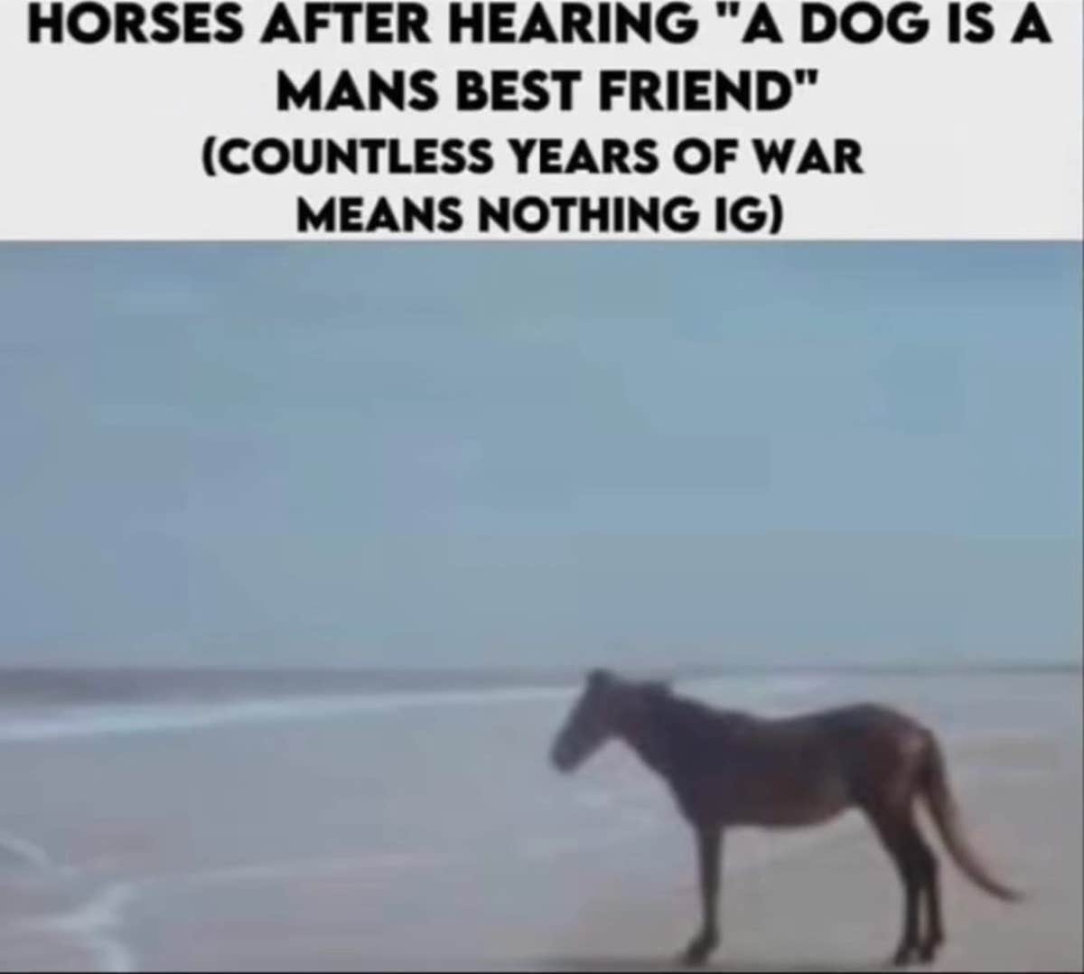 The Man Horse Meme: part man, part horse, all meme