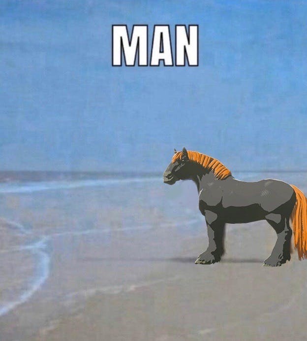 legend of zelda ganendorf horse man horse beach meme