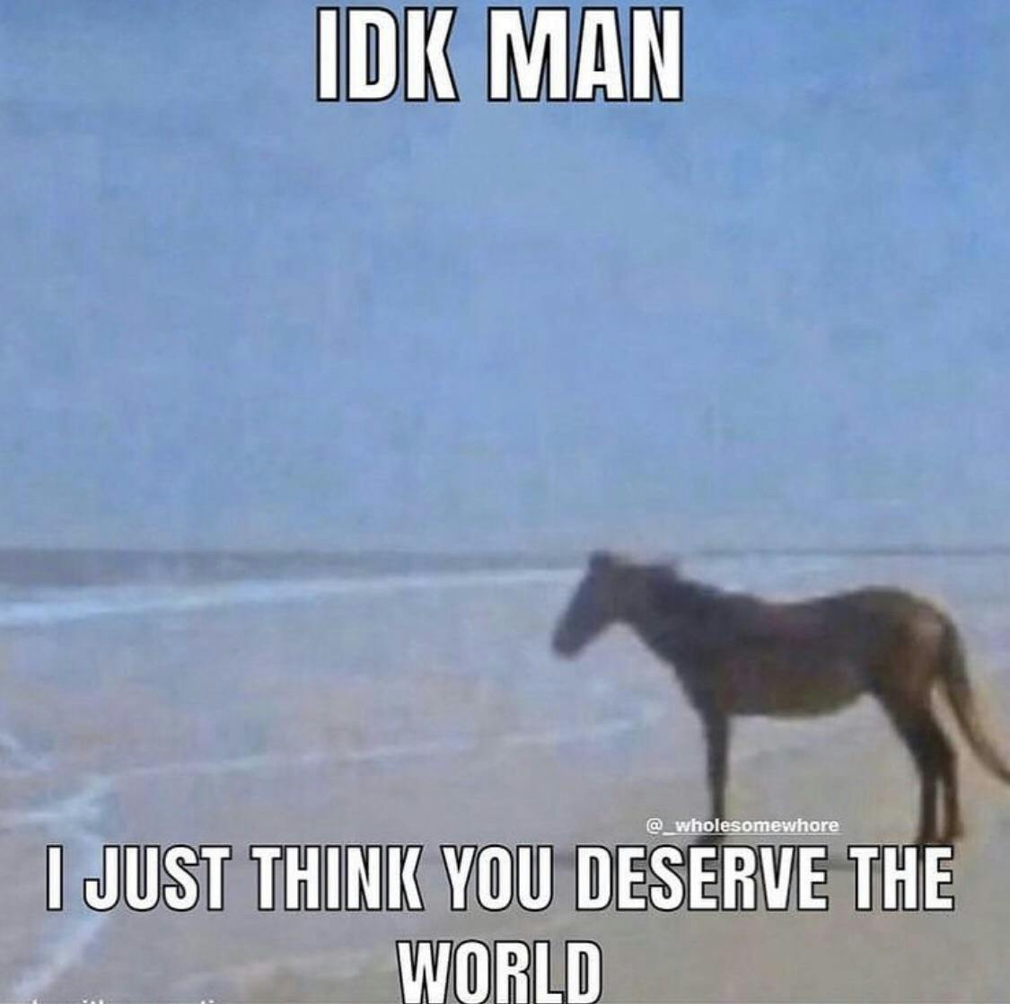 man horse beach meme that reads 'idk man i just think you deserve the world'