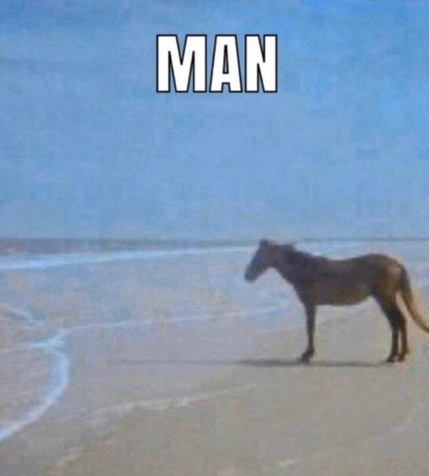 man horse meme