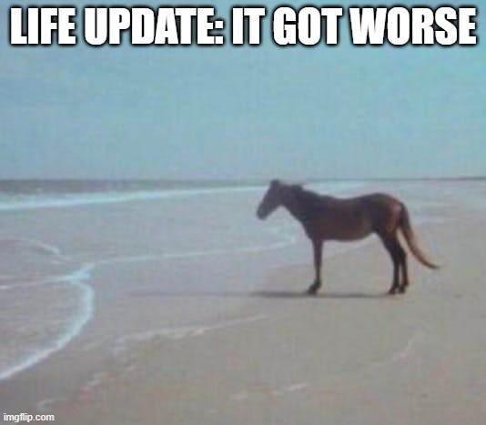 man beach horse meme with caption 'life update: it got worse'