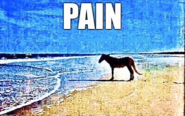 pain man horse beach meme