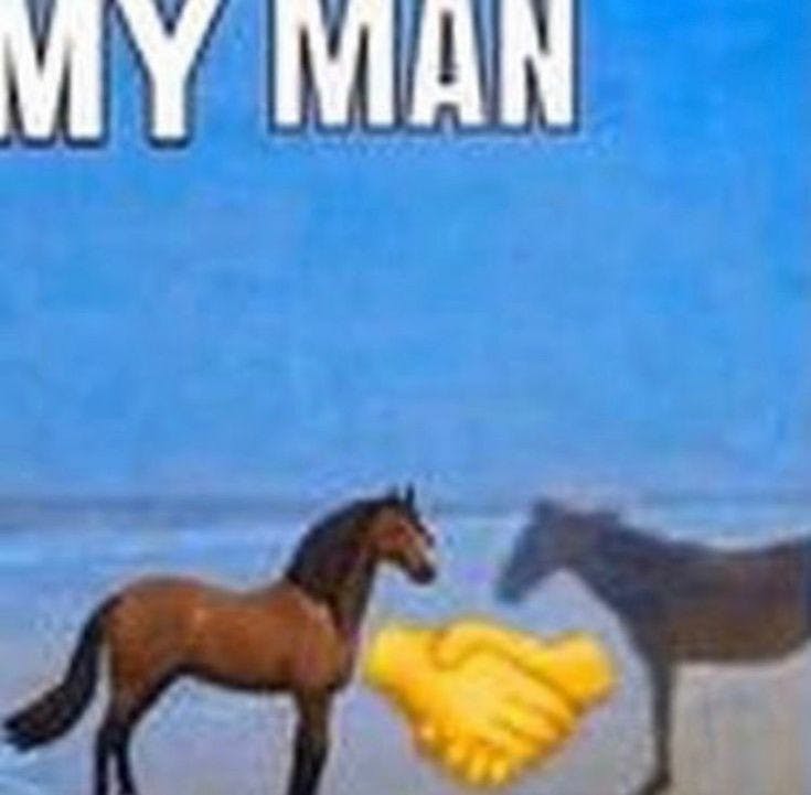 my man two horse beach meme