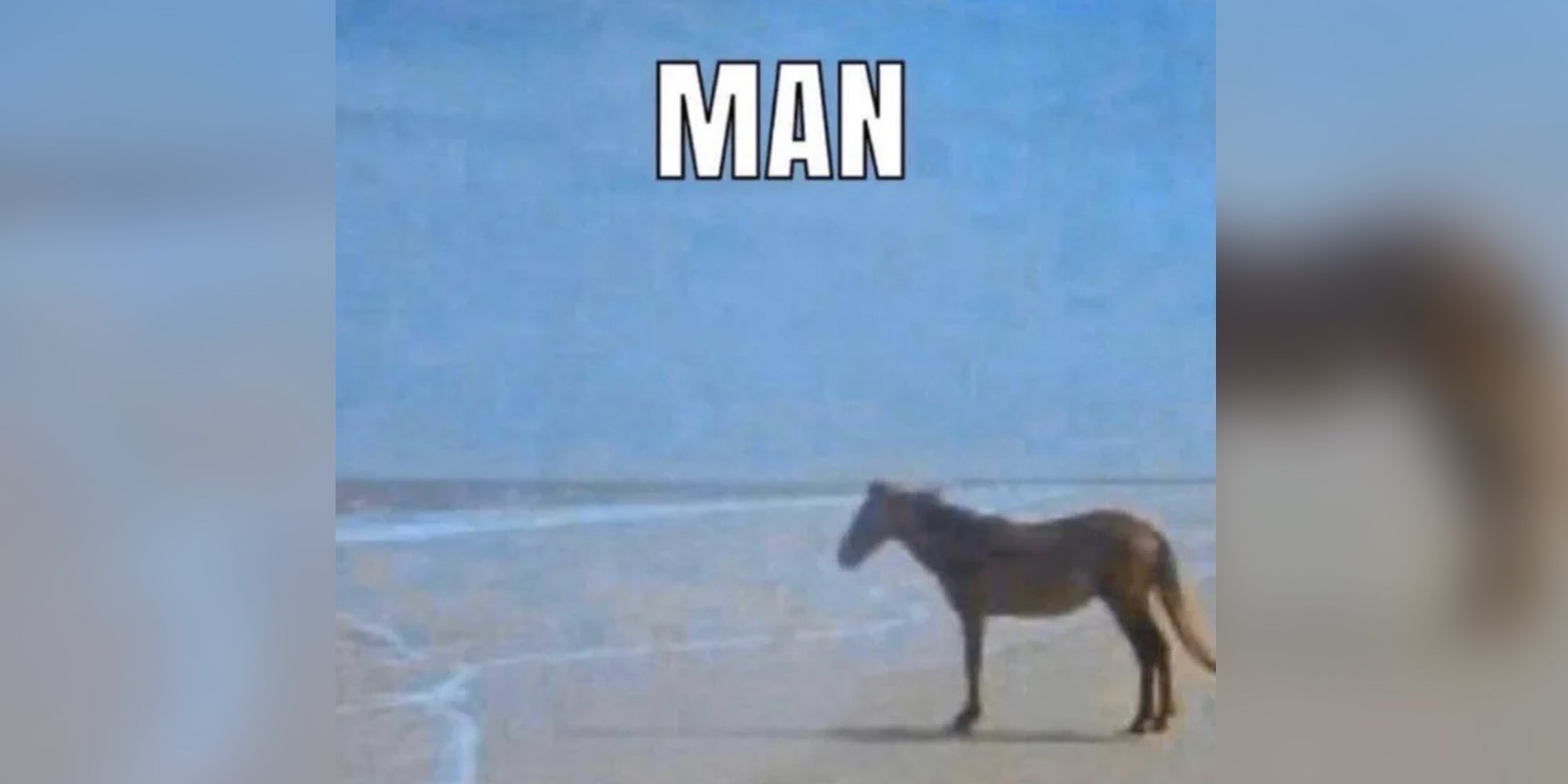 Horse on Beach with text that says "man"
