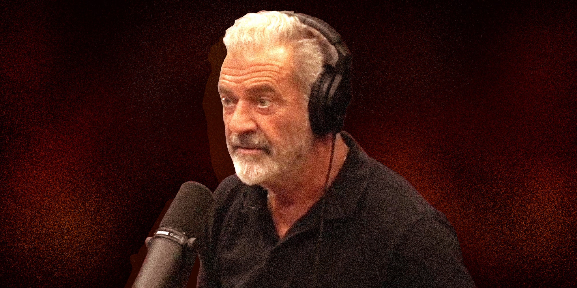 Mel Gibson, eyebrows raised and looking off the left side. On a textured background.