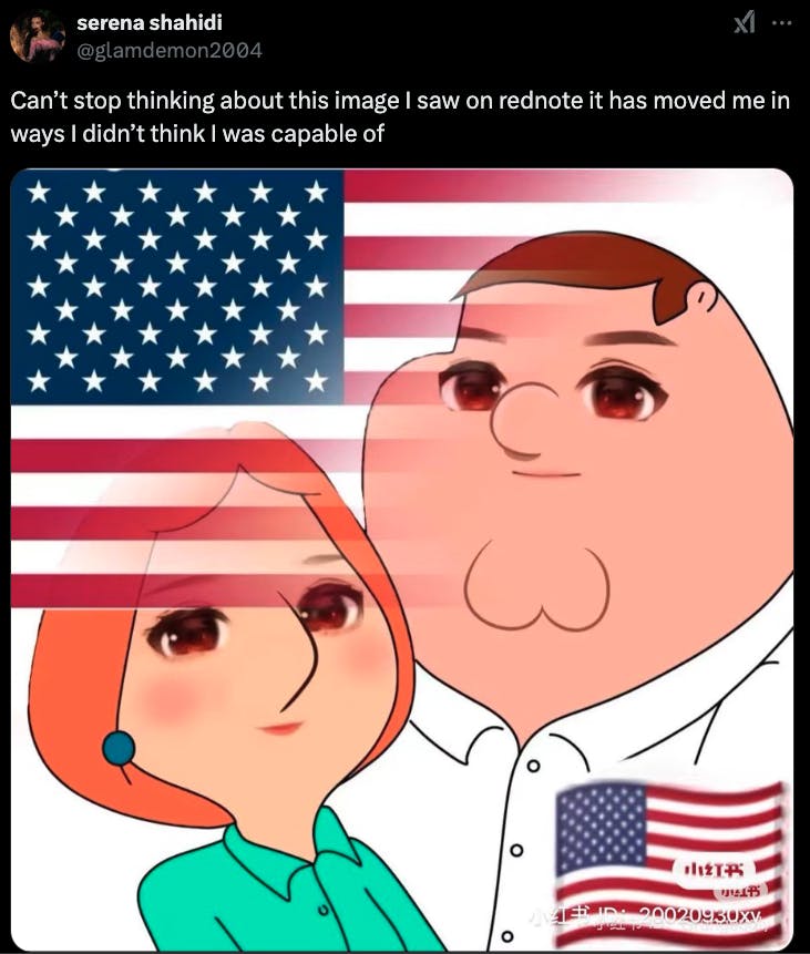 rednote meme of peter and lois griffin against american flag background