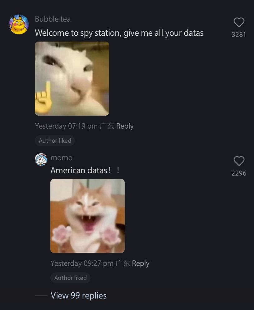 RedNote meme with a screenshot from RedNote, text reads, 'Welcome to spy station, give me all your datas (cat with finger raised)' and second comment that says, 'American datas! ! (excited cat image)'