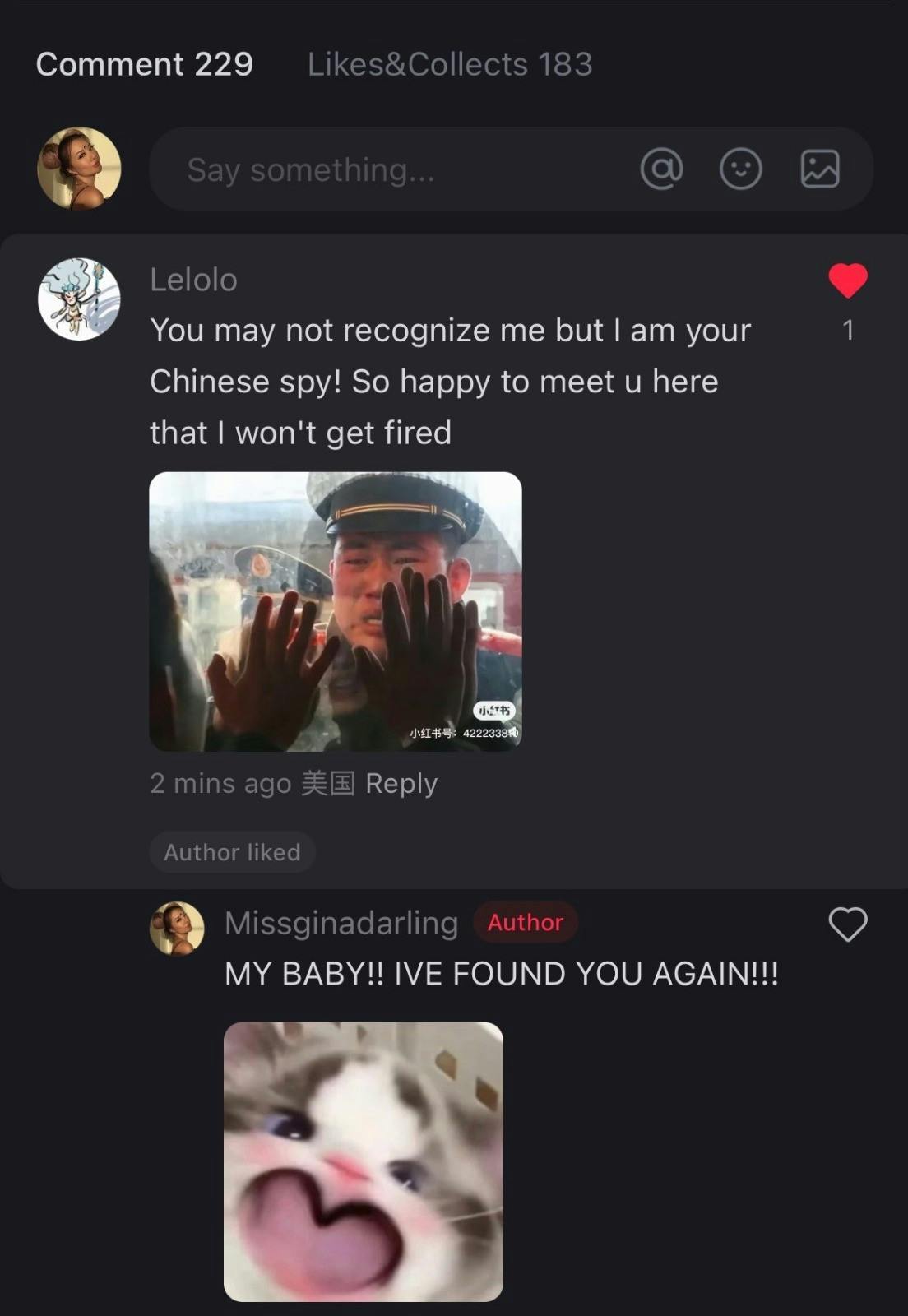 RedNote meme with screenshot from the app, text reads, 'You may not recognize me but I am your Chinese spy! So happy to meet u here that I won't get fired.' with a response from Miss Gina Darling that says, 'MY BABY!! IVE FOUND YOU AGAIN!!!'