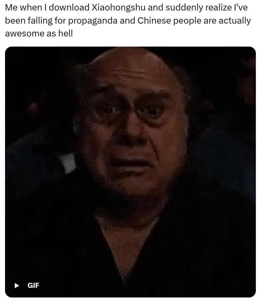 RedNote meme, text reads, 'Me when I download Xiaohongshu and suddenly realize I've been falling for propaganda and Chinese people are actually awesome as hell' with a GIF of Danny deVito looking scared and injured.