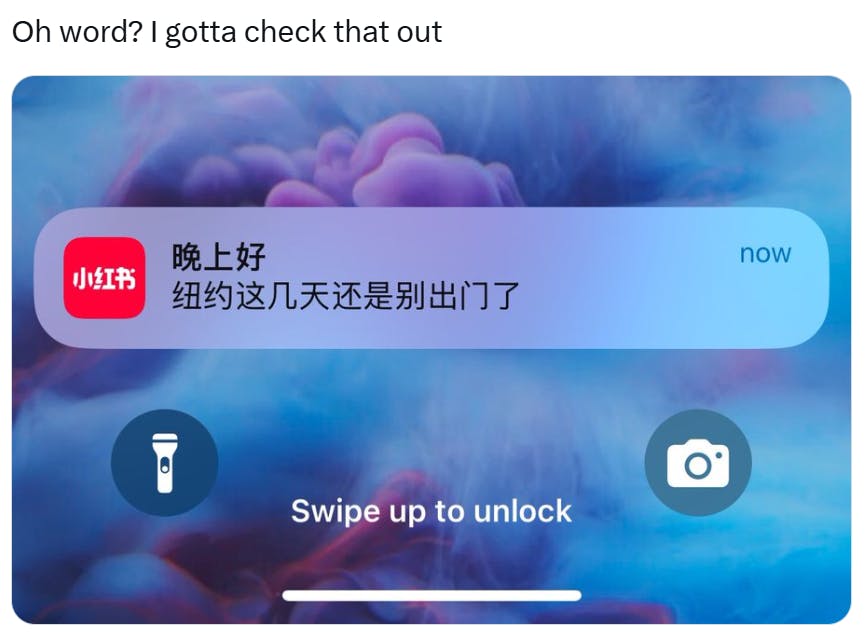 RedNote meme, text reads, 'Oh word? I gotta check that out' with a screenshot of a notification from RedNote in Mandarin that says, 'Good evening, it's better not to go out in New York these days.'