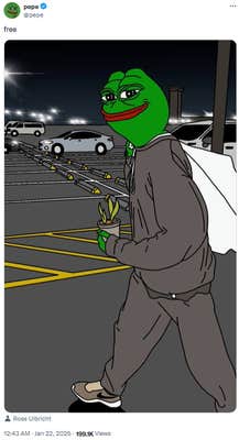 Ross William Ulbricht pardon meme with a Pepe the frog version of him leaving prison with a plant.