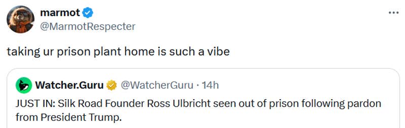 Tweet reading "taking ur prison plant home is such a vibe."