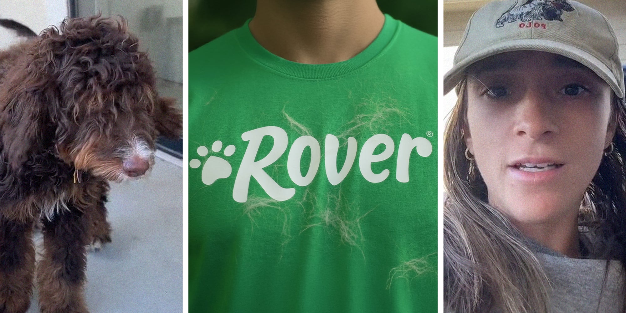 Adorable little puppy(l) Rover logo on green t-shirt covered in dog hair(c) Woman wearing hat shares her experience taking care of dog(r)