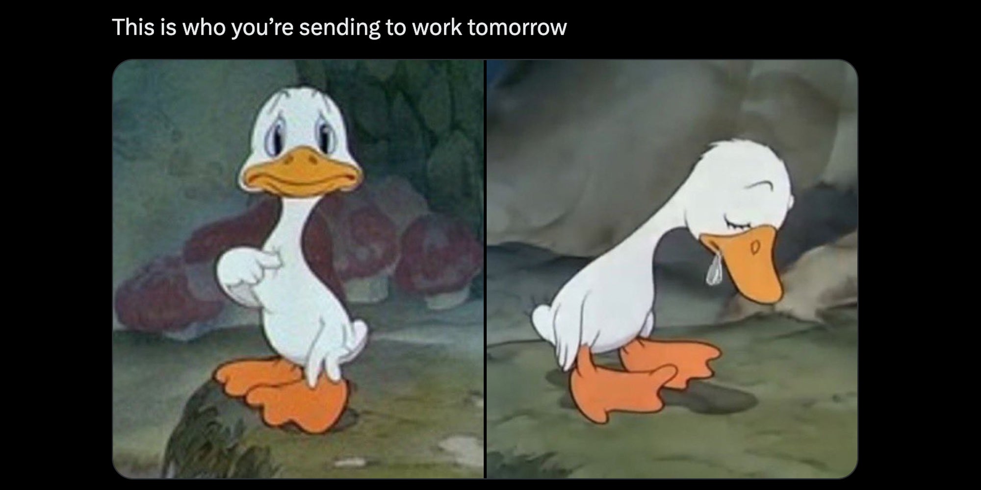 Sad duck pointing to himself(l), and crying(r) with text 'this is who you're sending to work tomorrow'(top)