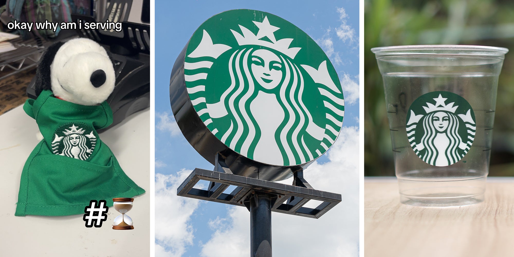 Snoopy Plushie wearing starbucks apron(l) Starbucks Sign(c) Empty Starbucks Cup(r)