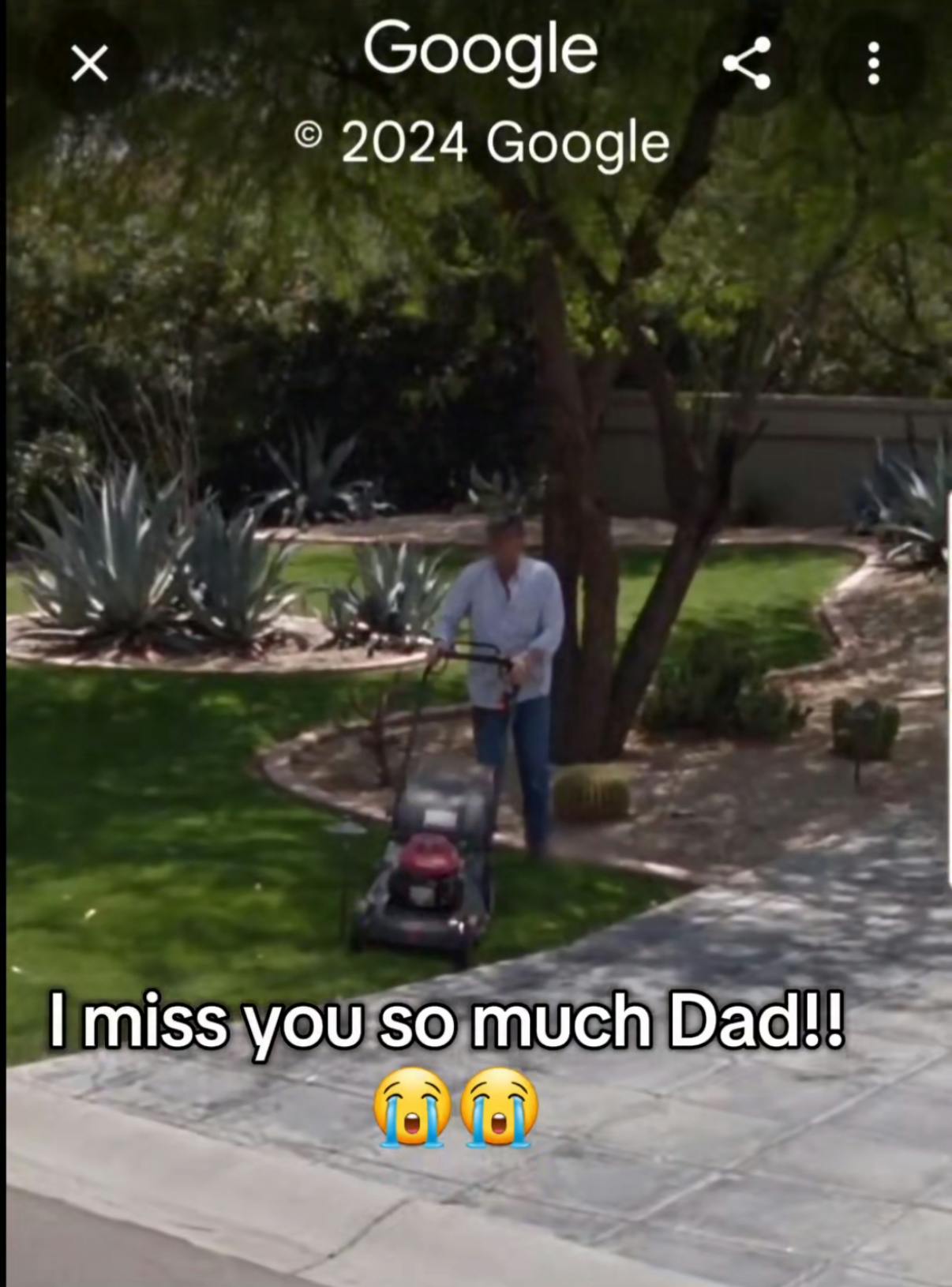 Somewhere on Google trend screenshot of a man mowing a front lawn. Text overlay reads, 'I miss you so much Dad!! (sob emojis)'