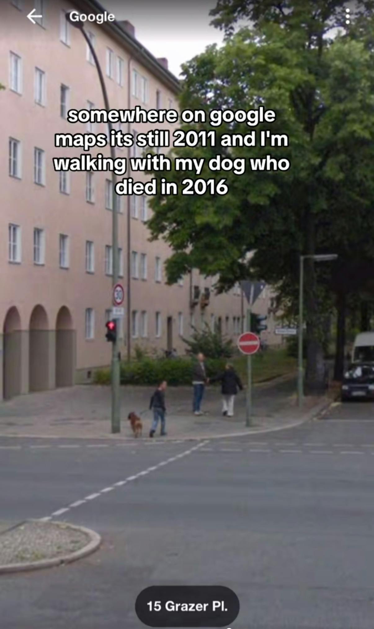 Somewhere on Google trend screenshot of a busy European street with a young kid and their family walking down the street with their dog. Text overlay reads, 'Somewhere on Google maps it's still 2011 and I'm walking with my dog who died in 2016.'