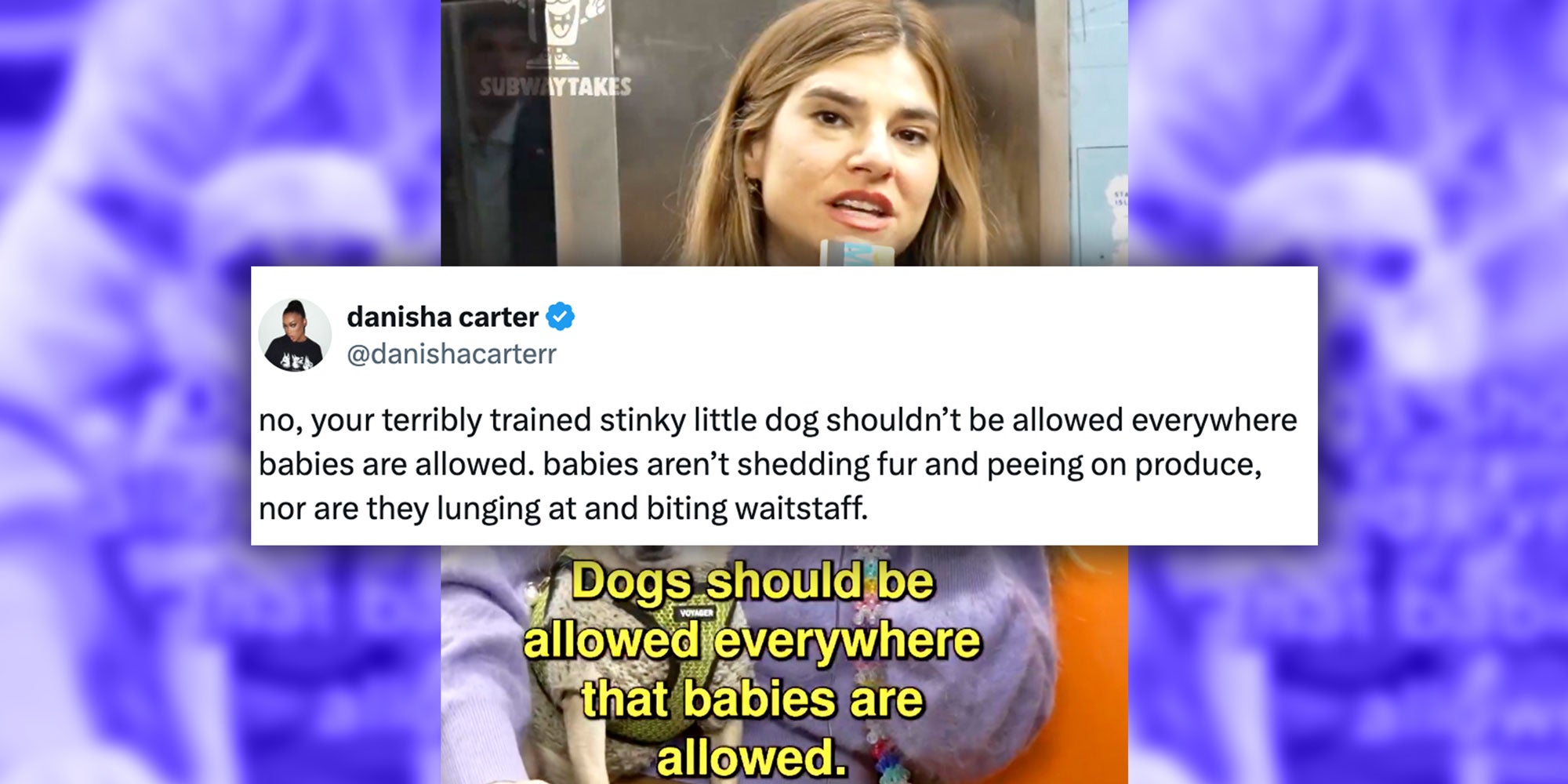 Screenshots of a tweet by @danishacarterr that reads 'no, your terribly trained stinky little dog shouldn’t be allowed everywhere babies are allowed. babies aren’t shedding fur and peeing on produce, nor are they lunging at and biting waitstaff.' over a screenshoot from @SubwayTakes of a woman with her dog and the caption 'Dogs should be allowed everywhere that babies are allowed.'