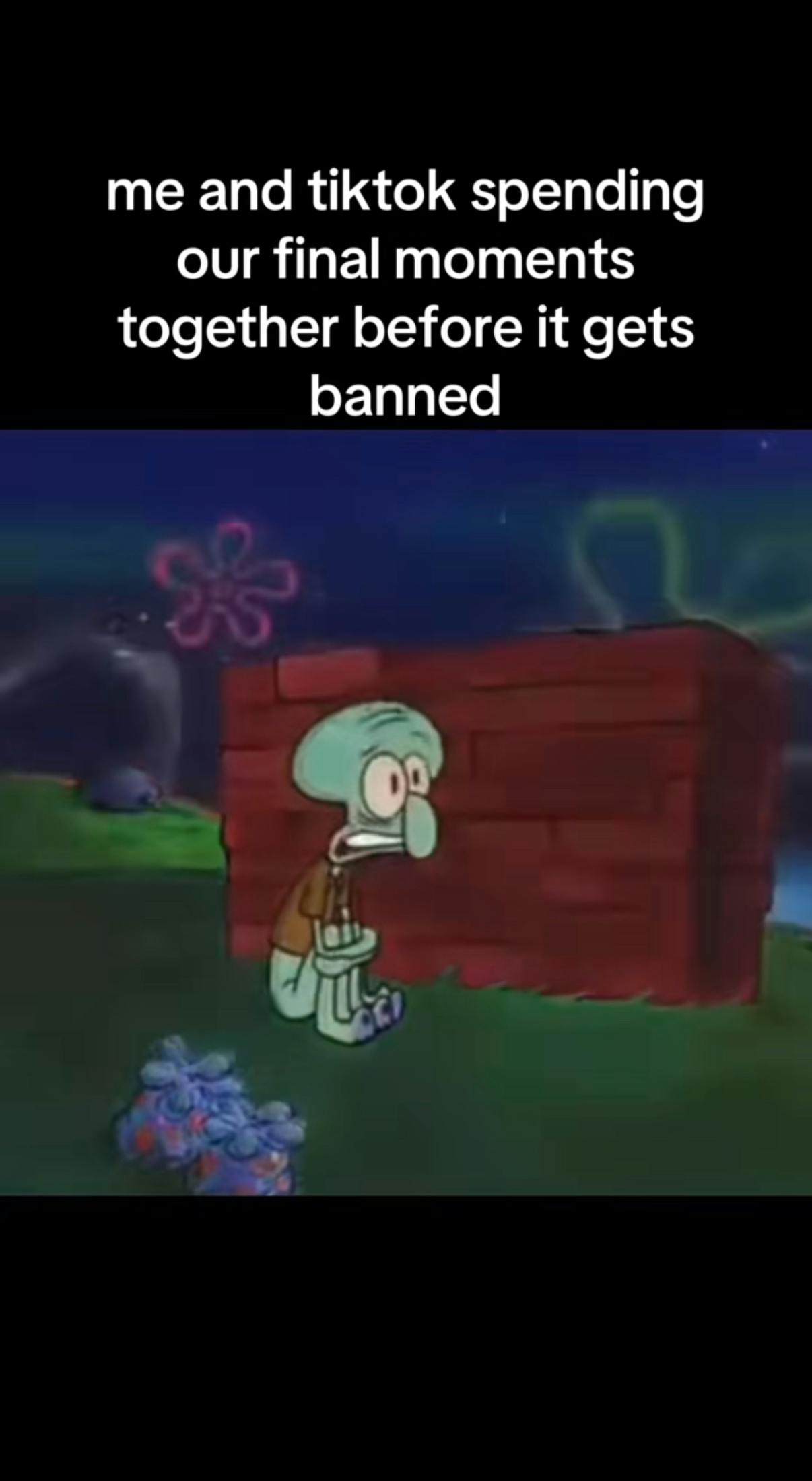 TikTok screenshot of Squidward scared and hiding behind a brick wall. Text overlay reads, 'me and tiktok spending our final moments together before it gets banned.'