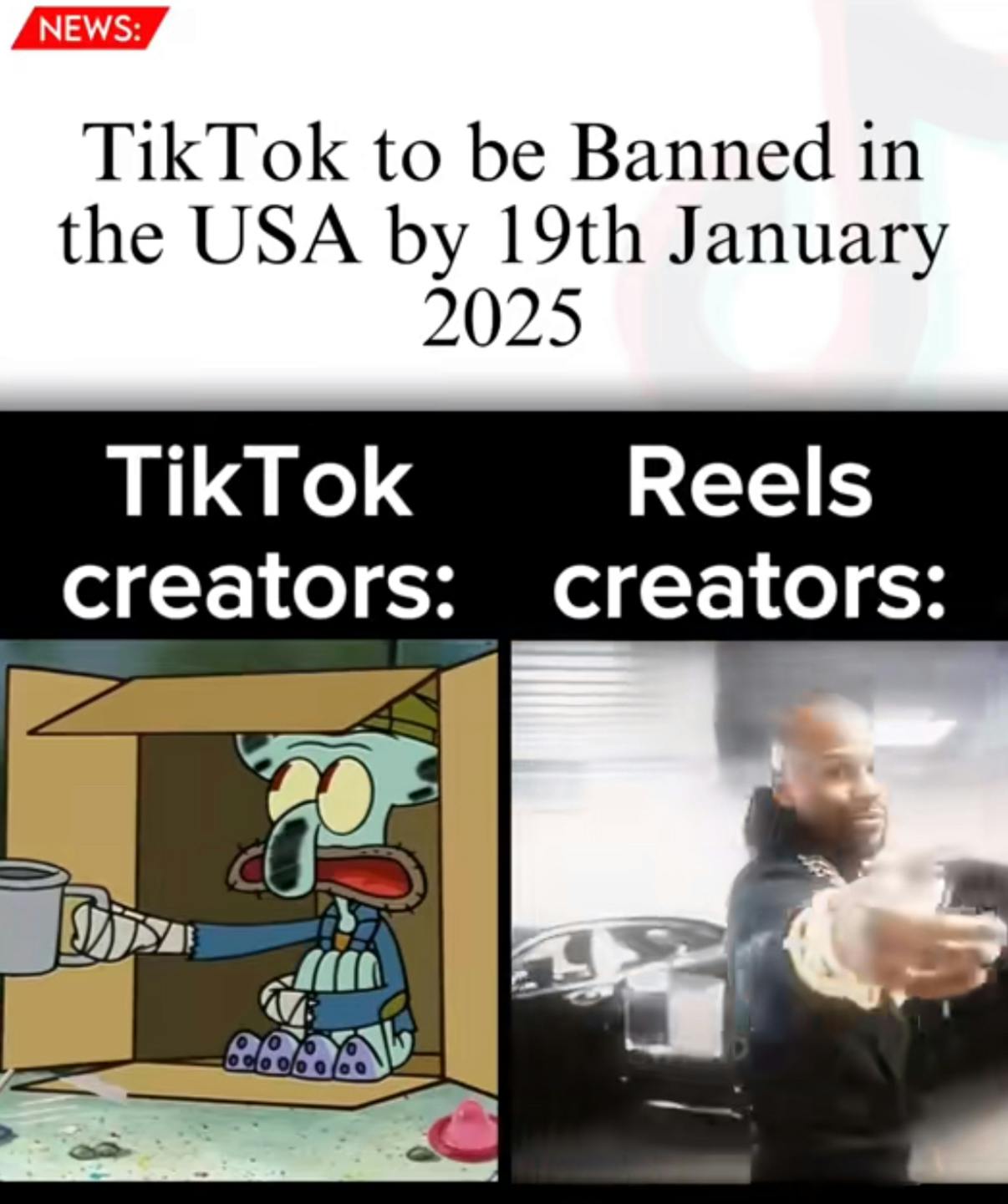 TikTok screenshot, text reads, 'News: TikTok to be Banned in the USA by 19th January 2025. TikTok creators:' with a photo of homeless Squidward and 'Reels creators:' with a photo of a man pointing at the camera.