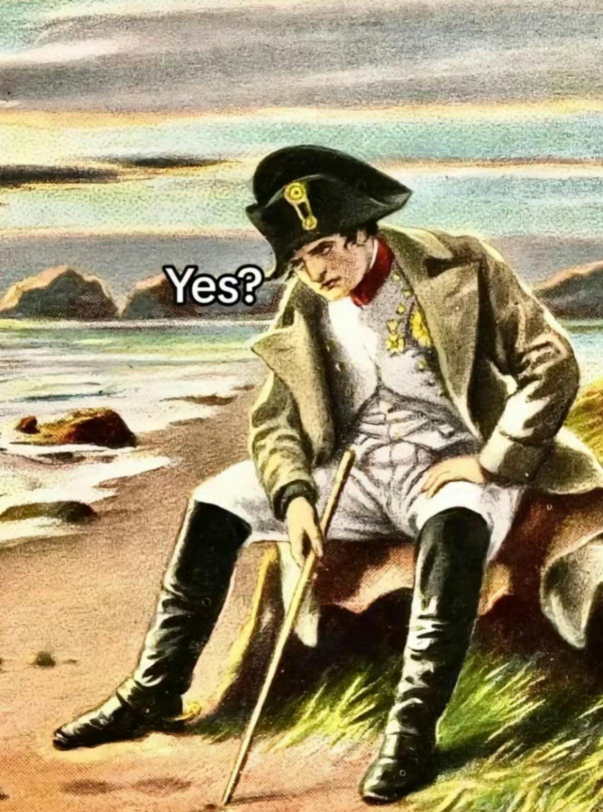 TikTok screenshot of a weary Napoleon painting. Text overlay says, 'Yes?'