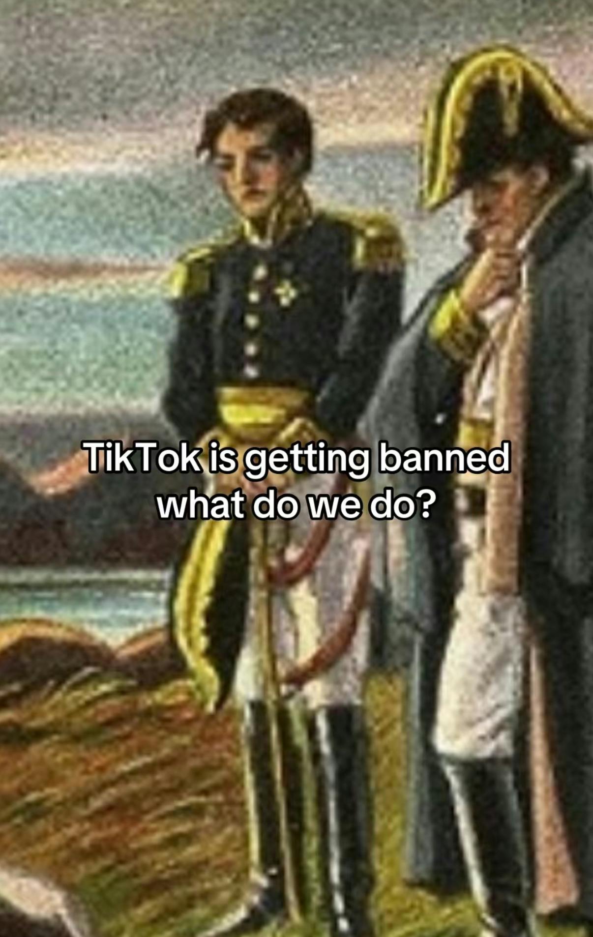 TikTok screenshot of a weary Napoleon with a soldier painting. Text overlay says, 'TikTok is getting banned what do we do?'