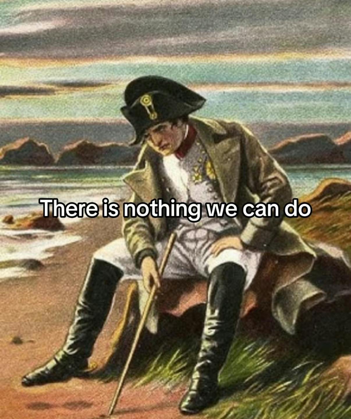 TikTok screenshot of a weary Napoleon painting. Text overlay says, 'There is nothing we can do.'