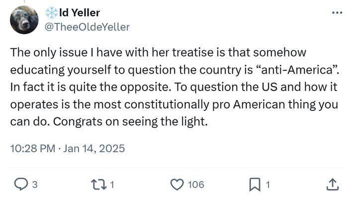 Post responding to the woman who became a liberal after joining TikTok. Tweet reads, "The only issue I have with her treatise is that somehow educating yourself to question the country is 'anti-America'. In fact it is quite the opposite. To question the US and how it operates is the most constitutionally pro American thing you can do. Congrats on seeing the light."