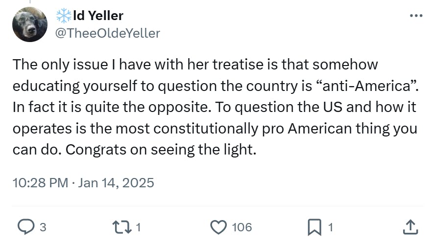 Post responding to the woman who became a liberal after joining TikTok. Tweet reads, 'The only issue I have with her treatise is that somehow educating yourself to question the country is 'anti-America'. In fact it is quite the opposite. To question the US and how it operates is the most constitutionally pro American thing you can do. Congrats on seeing the light.'