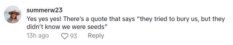 Comment responding to the woman who became a liberal after joining TikTok. Text reads, "Yes yes yes! There’s a quote that says 'they tried to bury us, but they didn’t know we were seeds'”
