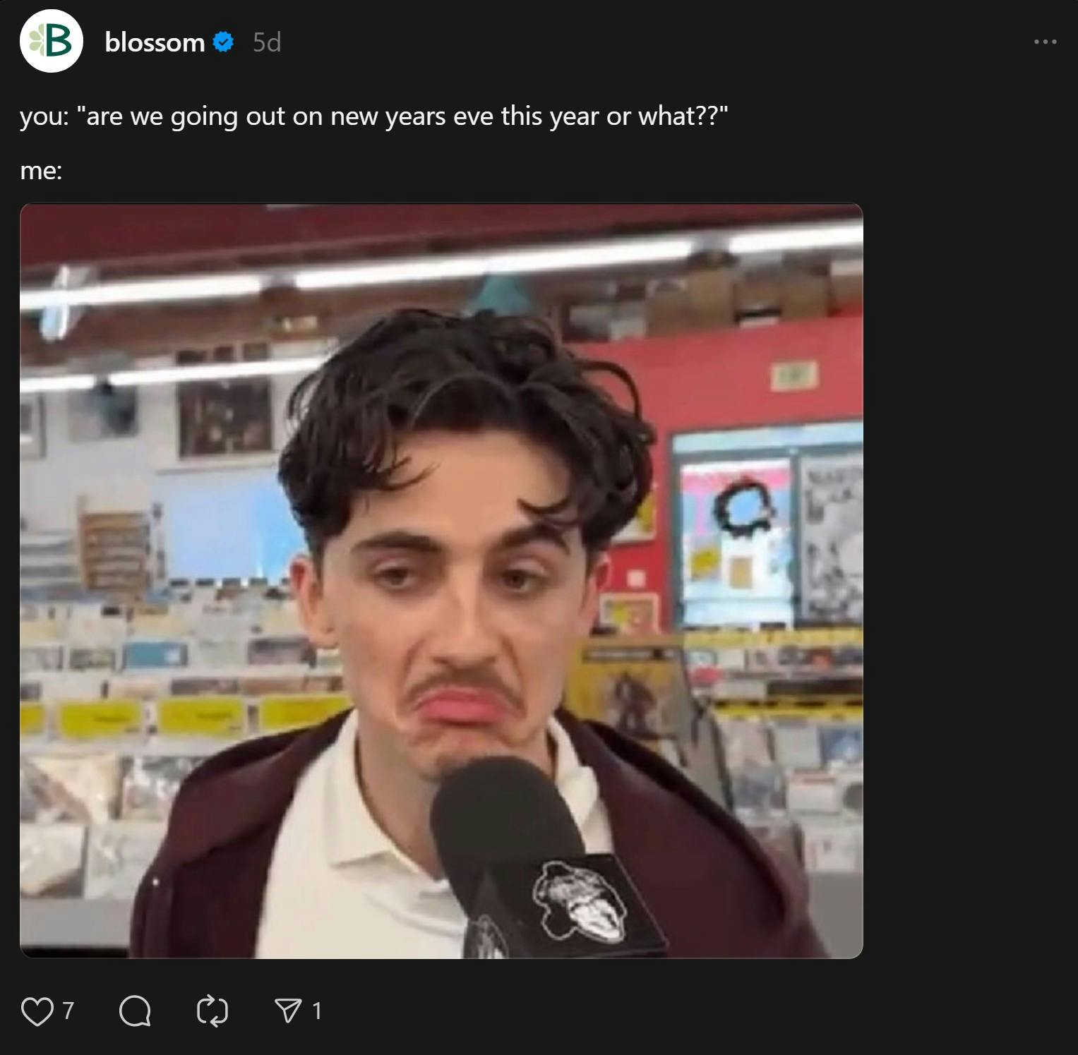 'you: 'are we going out on new years eve this year or what??' timothee chalamet frowning meme